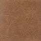 Ashley Express - Ciabori Upholstered Barstool (2/CN)